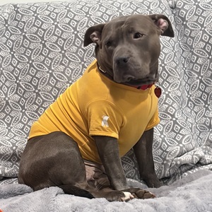 Fundraising Page: Neal Colligan